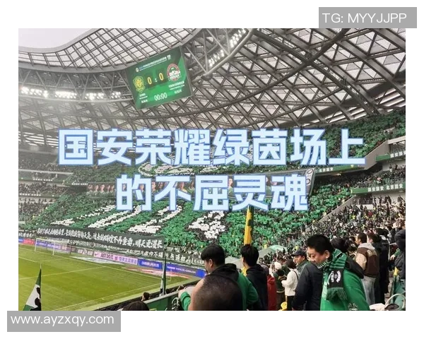 李明:从草根球员到足坛传奇 他如何用汗水书写自己的辉煌篇章 李明:从草根球员到足坛传奇 他如何用汗水书写自己的辉煌篇章