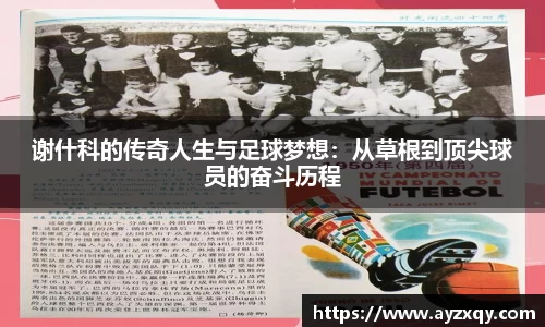 好博体育